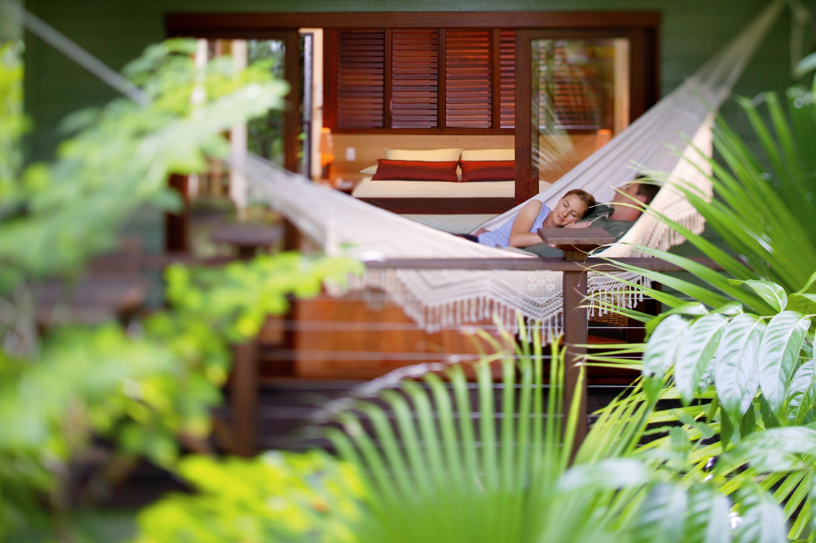 Tropical Daintree rainforest lodge with hammock